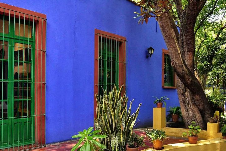 Private City Tour in Frida Kahlo, Coyoacan, and Xochimilco  image