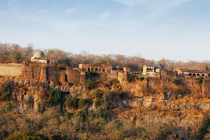 4 Nights 5 Days Jaipur-Ranthambore Tour image