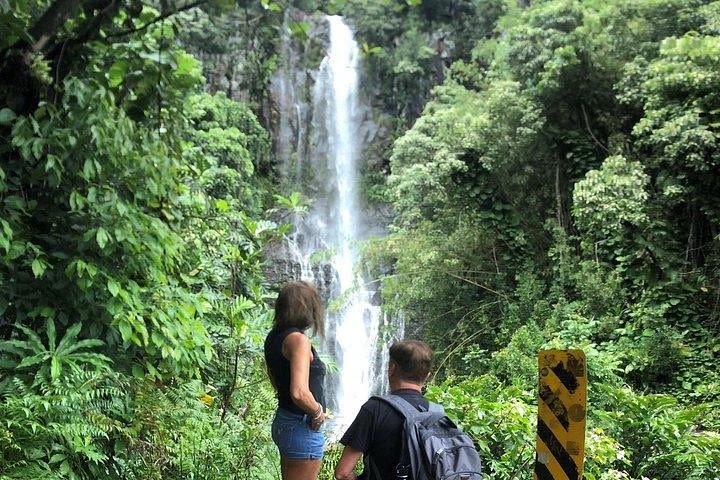 Private Tours : OAHU,MAUI, KAUAI or BIG ISLAND : Pick any Island  image