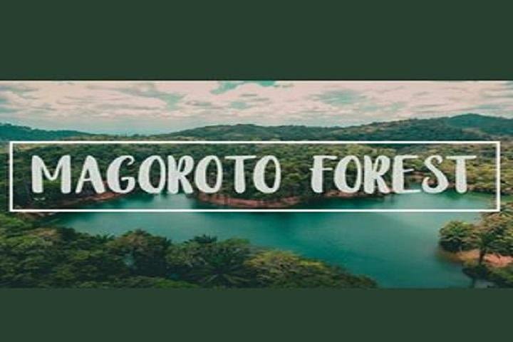 Day Trip to Magoroto Forest Estate - From Tanga City image