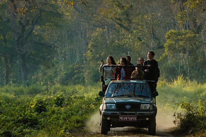 Chitwan Safari Day Tour image