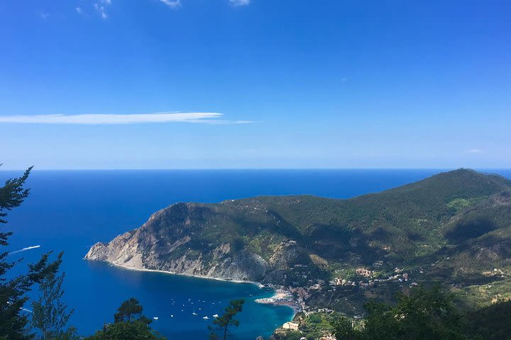 Cinque Terre and Pisa Private Tour from Livorno  image