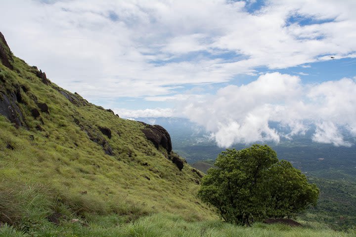 Hike on the Mountains of Wayanad - A Guided Group Activity image