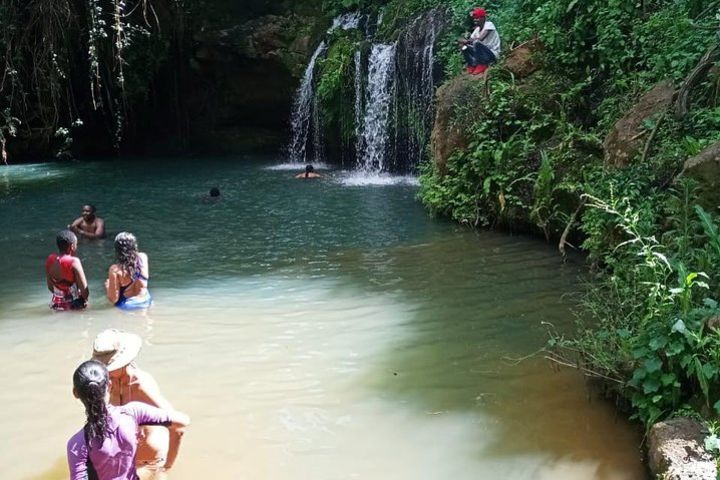 Ngare Ndare Forest Excursion image