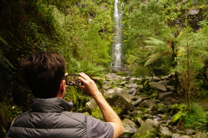 4 Day Group Camping Tour - Visit Grampians, Great Ocean Road and 12 Apostles image