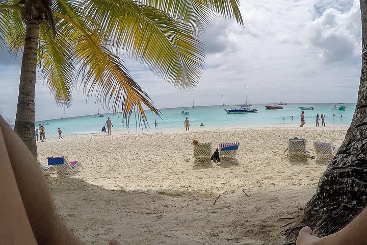 Isla Saona Daily Experience from Punta Cana image