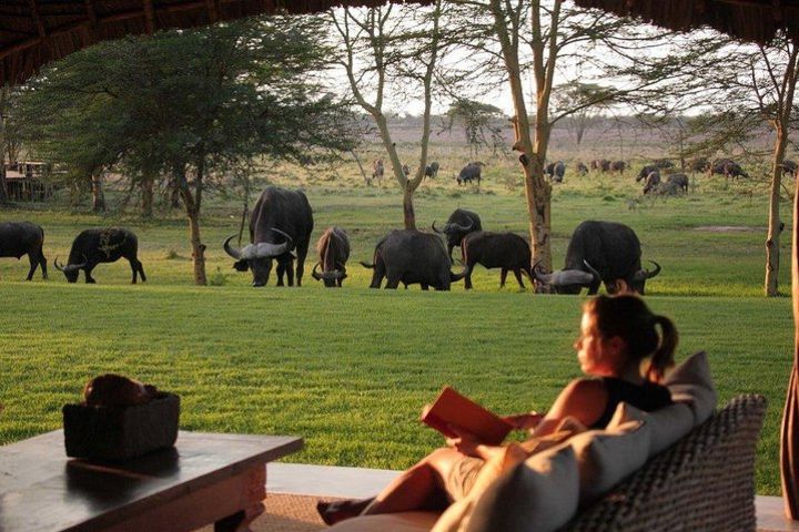 3 Days Masai Mara Spotting the Big Five Jeep Tour image