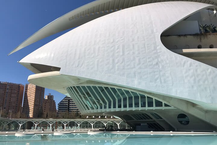 City of Arts and Sciences Private E-scooter Tour image