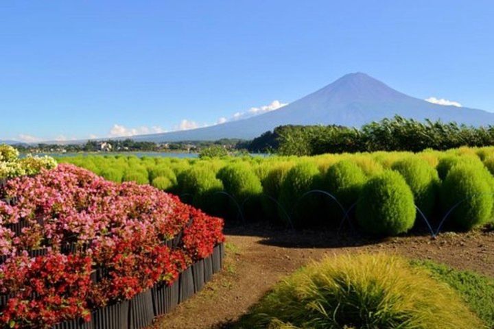 Private Car MT Fuji One Day Tour image