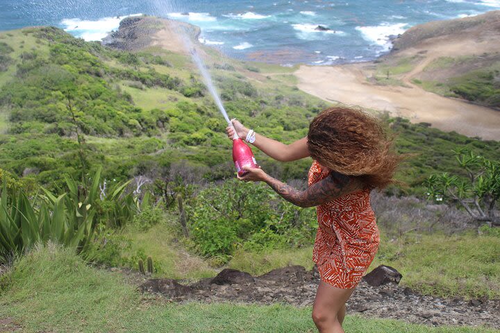 Pigeon Island National Park Private Tour & Beach Day image