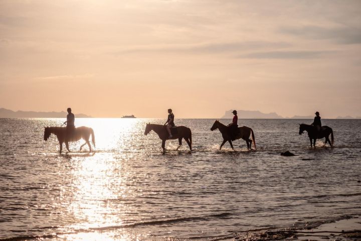 Koh Samui Sunset Beach Horseback Ride image