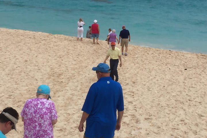 Pink Sand Shopping Tour image