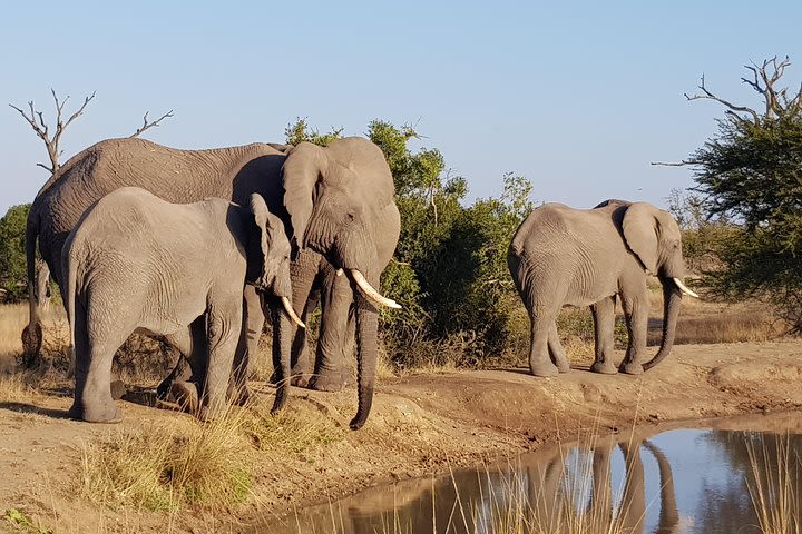 Village Tour + Safari image