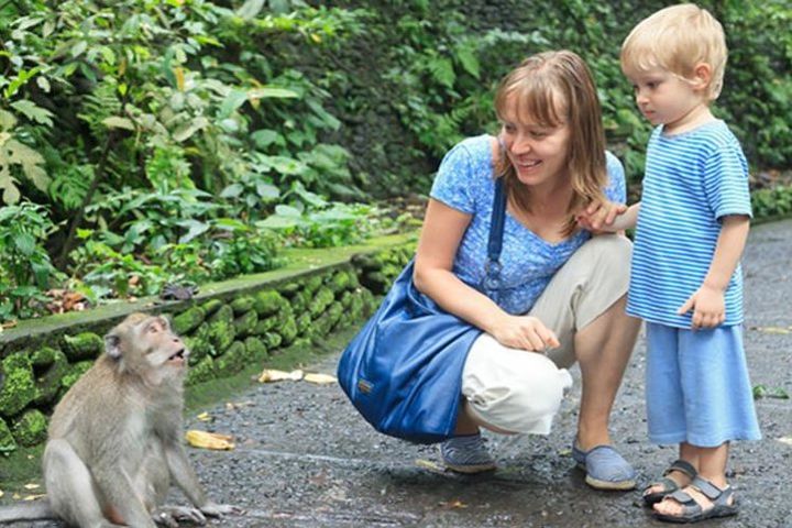 Private Tour: Ubud Highlights With Sacred Monkey Forest Sanctuary: All-Inclusive image