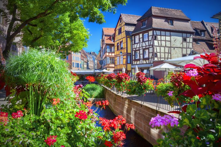 Colmar Guided Walking Tour (private) image