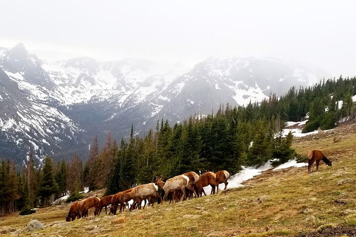 Grand Lake Tour RMNP image