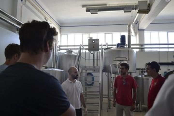 Porto Craft Beer Experience Small Group Tour image