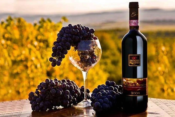 Siena&Montalcino with brunello wine tasting full-day from Rome image