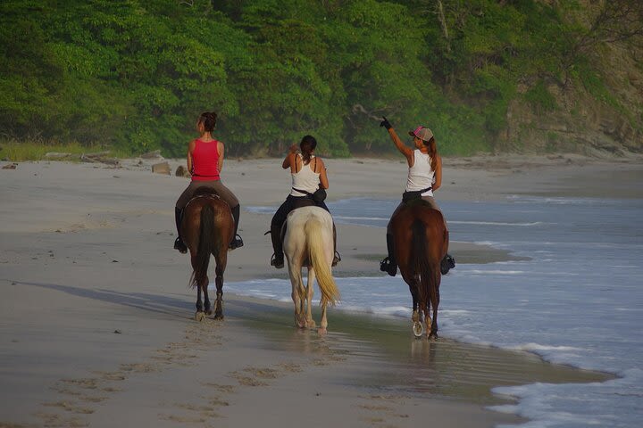 Ocean Kayak and Horseback in Playa Samara with lunch image