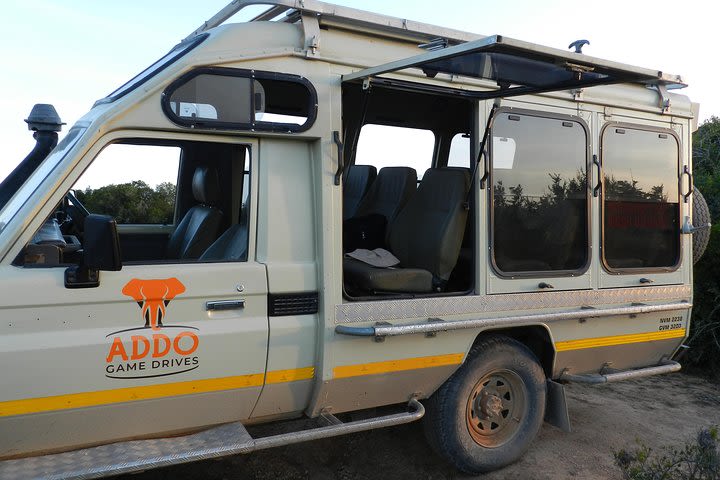 Addo Elephant Full Day Safari with a Traditional South African Braai (BBQ) Lunch image