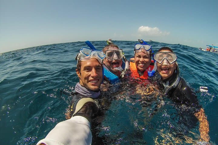 Swim with Sailfish Adventure from Riviera Maya  image