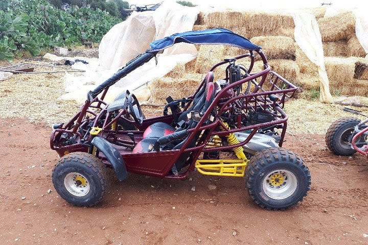 Dune Buggy's image