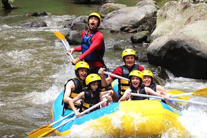 White Water Rafting at Ayung River image