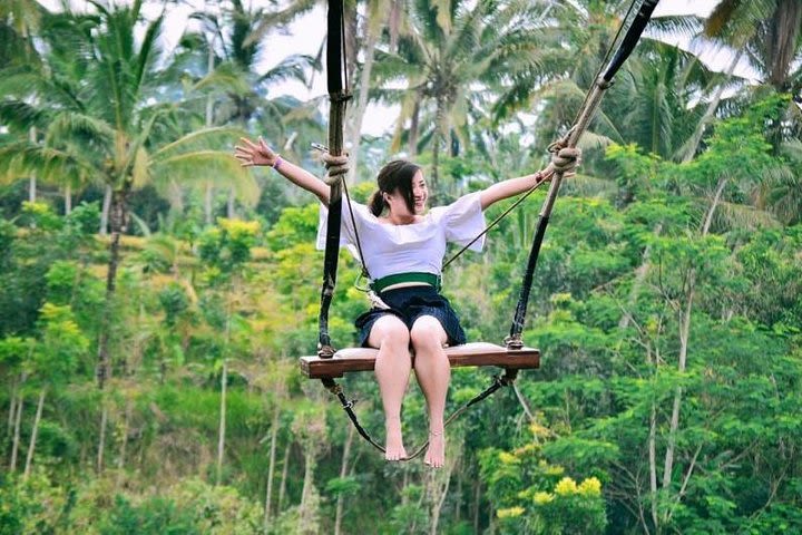 Full Day Private Tour - Great Ubud Experience image