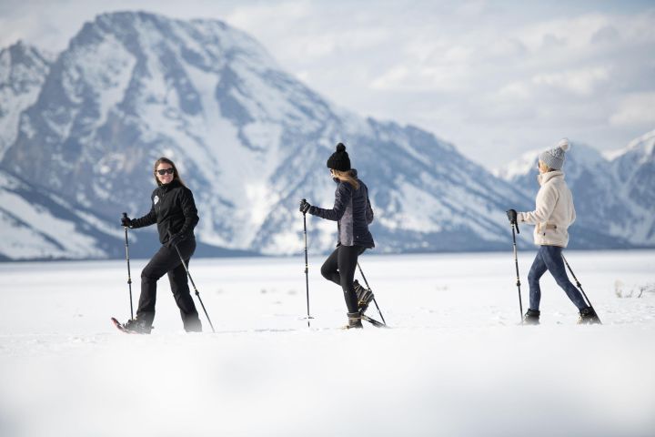 Grand Teton Snowshoe Adventure image