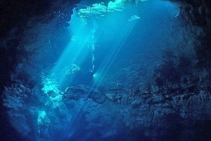 Cenotes 2-Tank Dive in Playa del Carmen/for certified divers only image