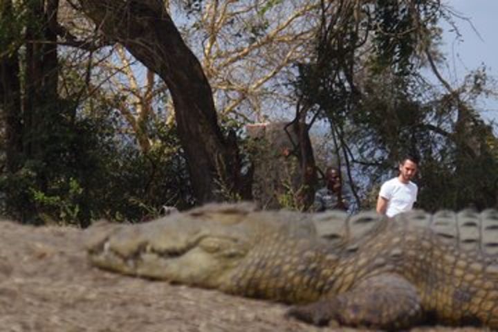 2 Days safari to Mikumi National Park image