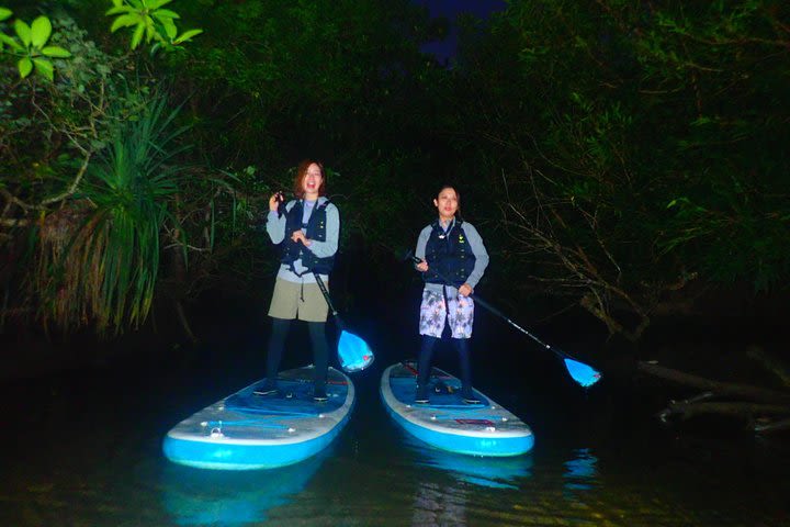 [Okinawa Iriomote] Night SUP/Canoe Tour in Iriomote Island image