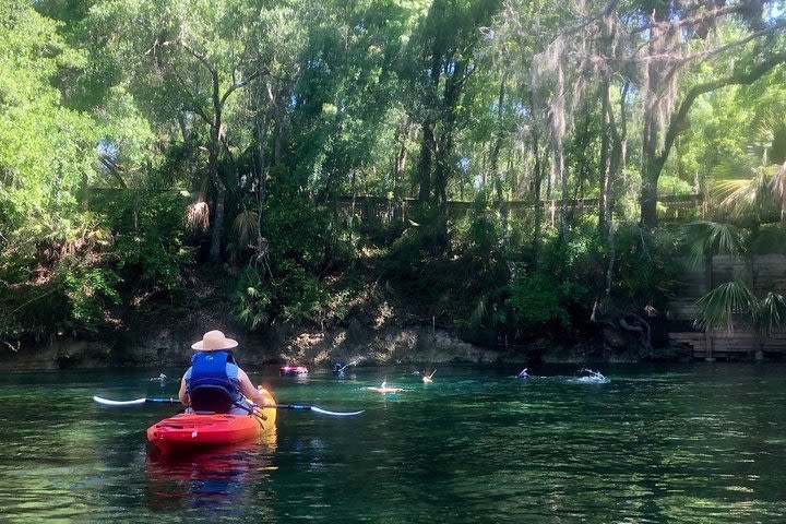 Wekiva River Guided Kayak Tour image