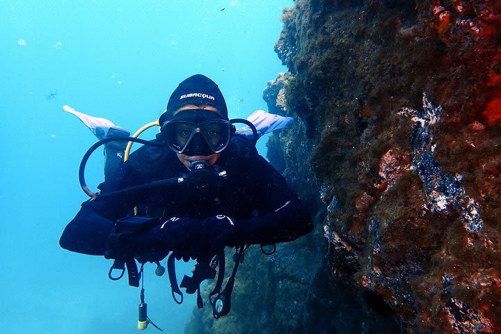 Discover Scuba Diving - Try it for the first time! image