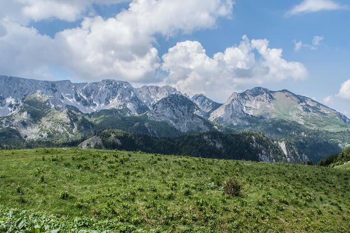 Trnovacko lake hike image