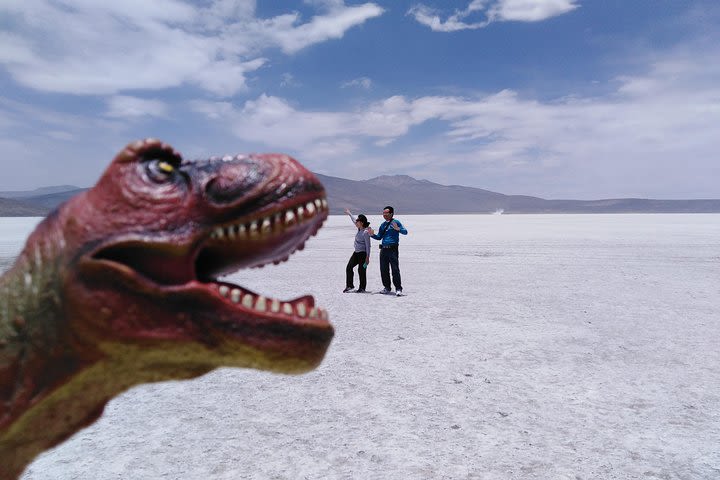 Salinas lake (national reserve Salinas y Aguada Blanca) Private Tour image