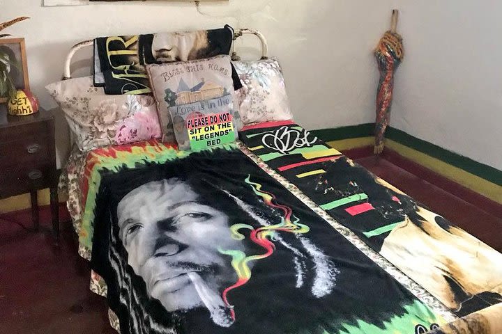 Dunns River Falls & Bob Marley image