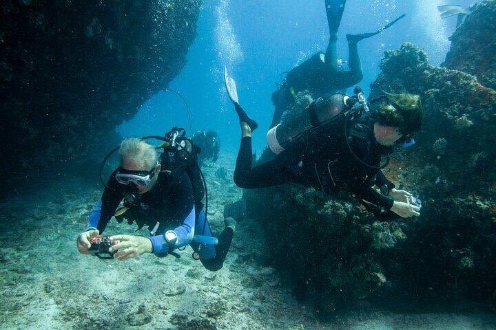 Advanced Open Water PADI Diving Course in Marsa Alam image