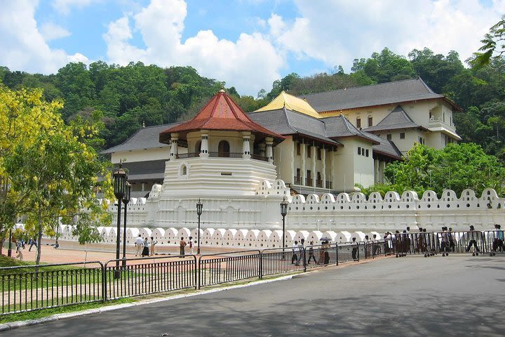 kandy Day excursions  image