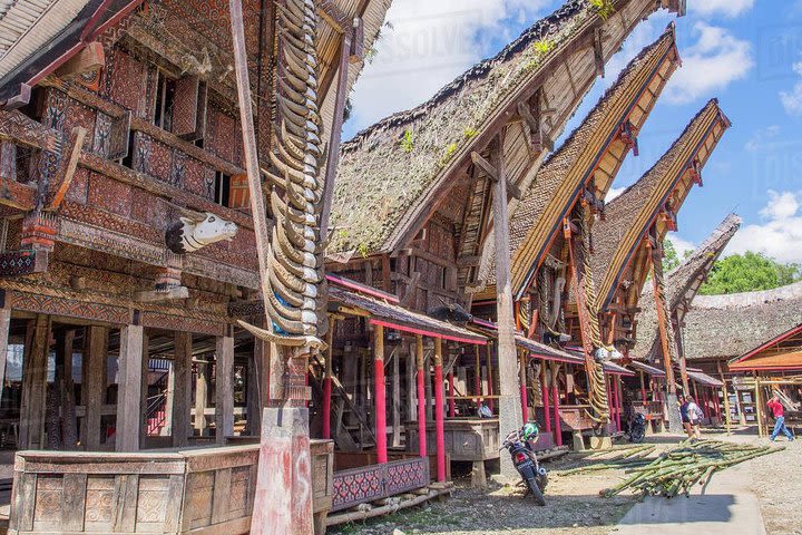 Half Day Toraja Cycling Tour image