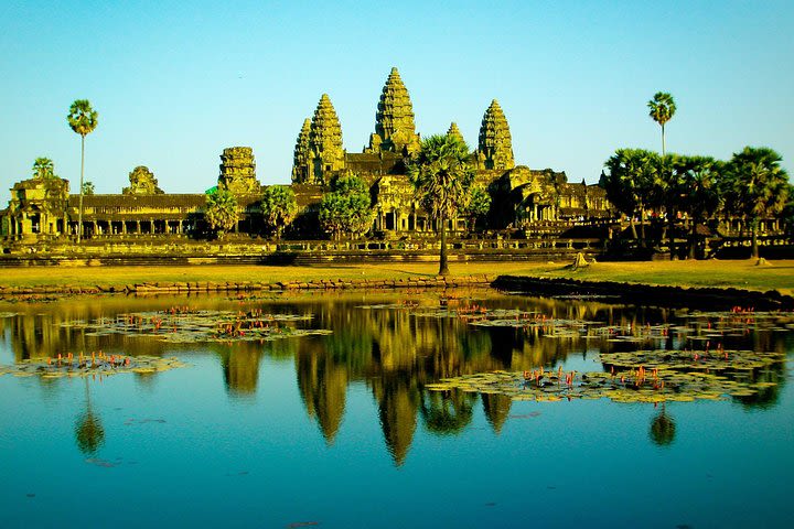 Angkor Wat Admission Ticket image