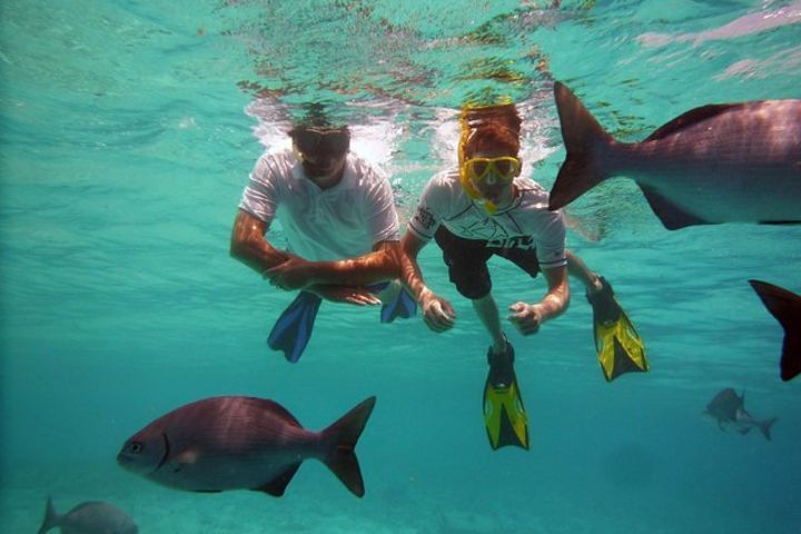 Bonaire Catamaran Lunch & Snorkel Cruise image