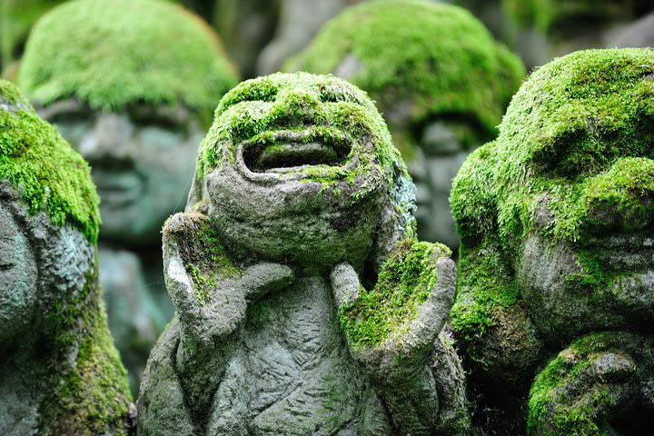 Private 3-hour Kyoto Arashiyama Rickshaw Tour image