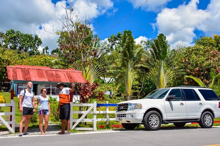 Private Jungle Rally Punta Cana image