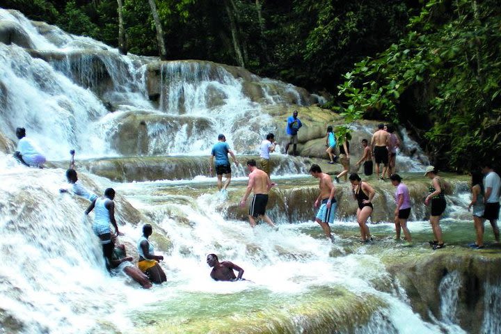 Montego Bay to Dunn's River Falls Half-Day Trip image