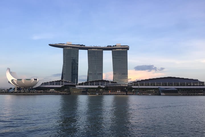 Singapore Half Day Private Tour image