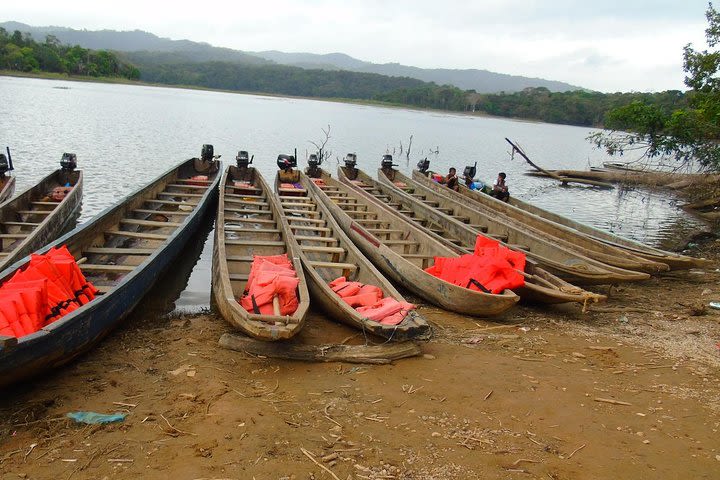 Embera Village Tour from Panama City image