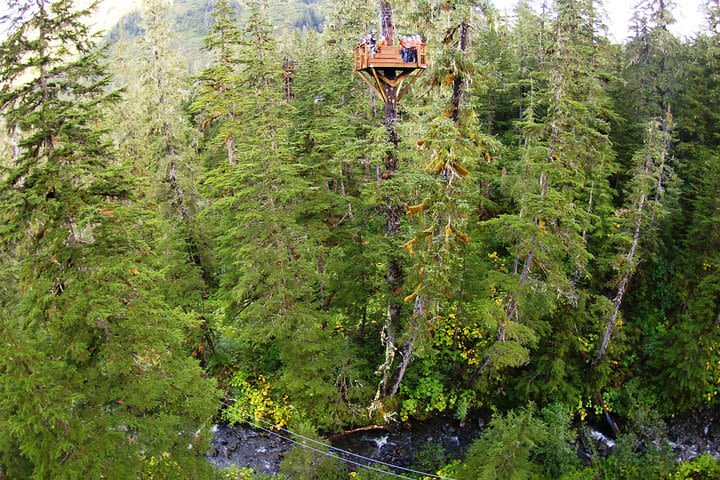 Alpine Zipline Adventure in Juneau, AK image