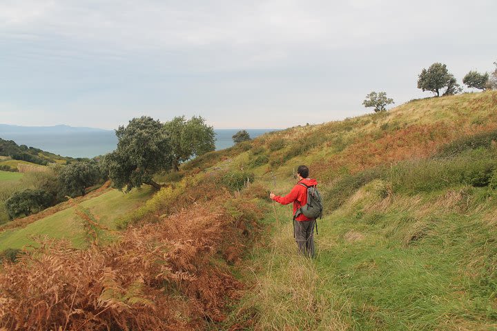 Hiking St James Way Between Vineyards and Winery Visit image