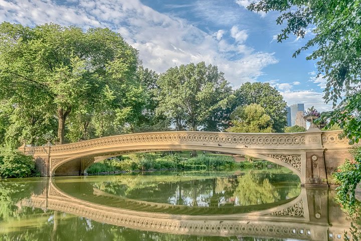 60 Minutes Central Park Sightseeing Tour in a Private Pedicab  image